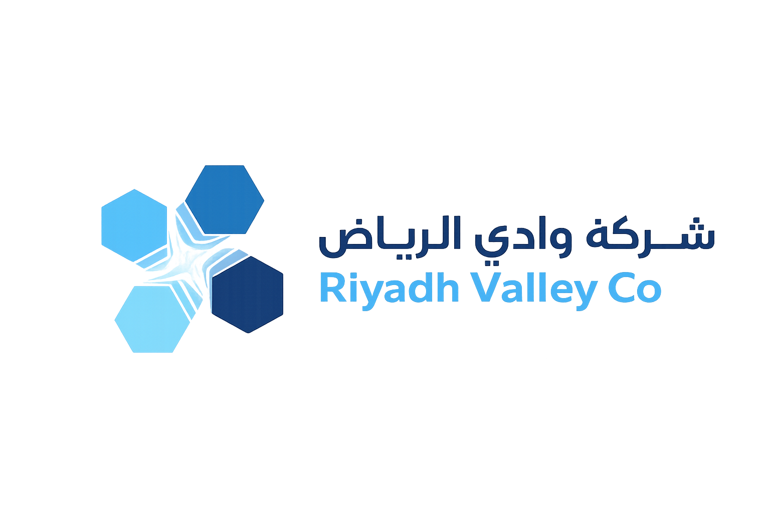 شركة وادي الرياض